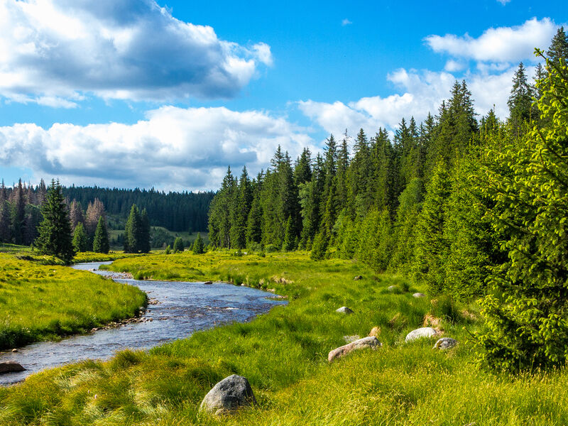 Ayurveda Kur im Bayerischen Wald