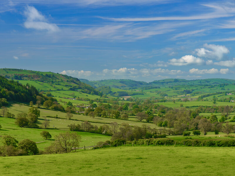 Ayurveda Kur in England