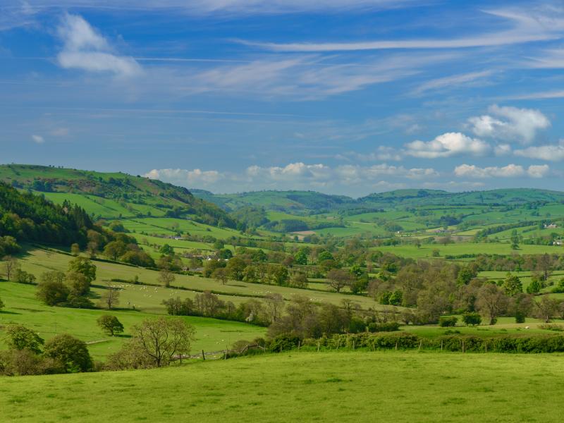 Ayurveda Kur in England