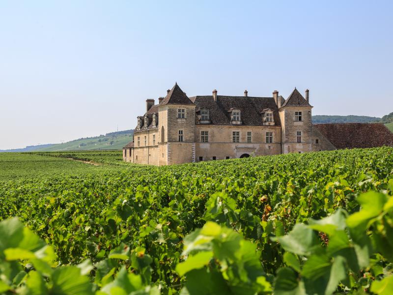 Ayurveda Kur in Frankreich