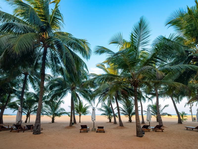 Ayurveda Kur in Negombo