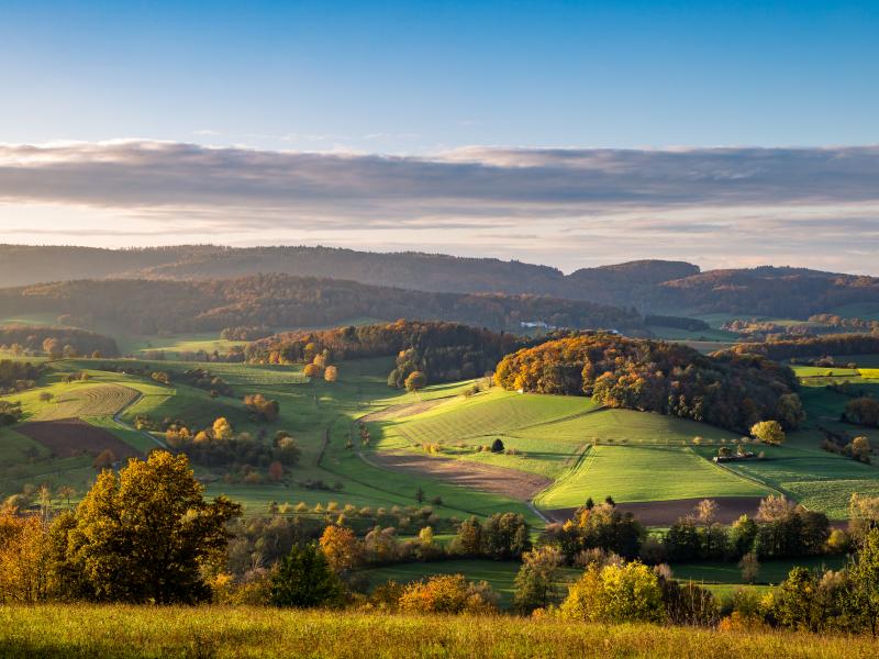 Ayurveda Kur im  Odenwald