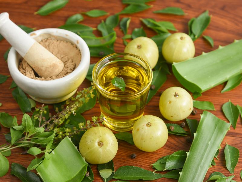 Ayurveda Kur in Österreich