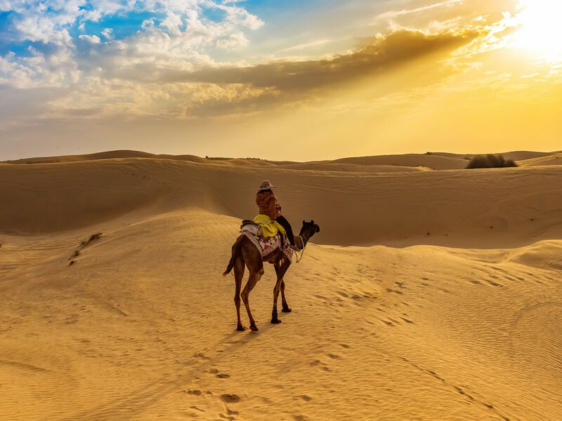 Reise nach Rajasthan