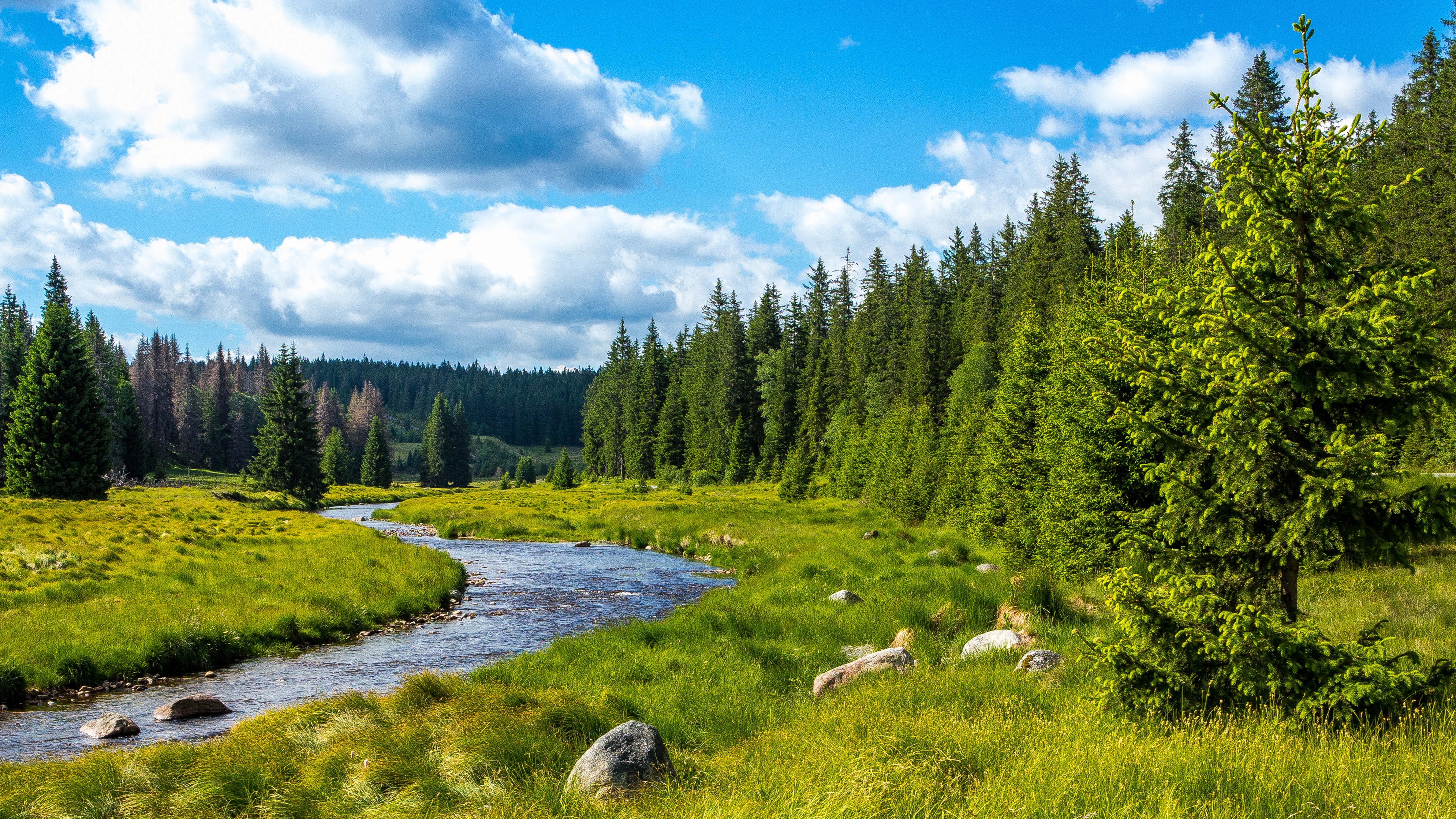 Ayurveda Kur im  Bayerischen Wald