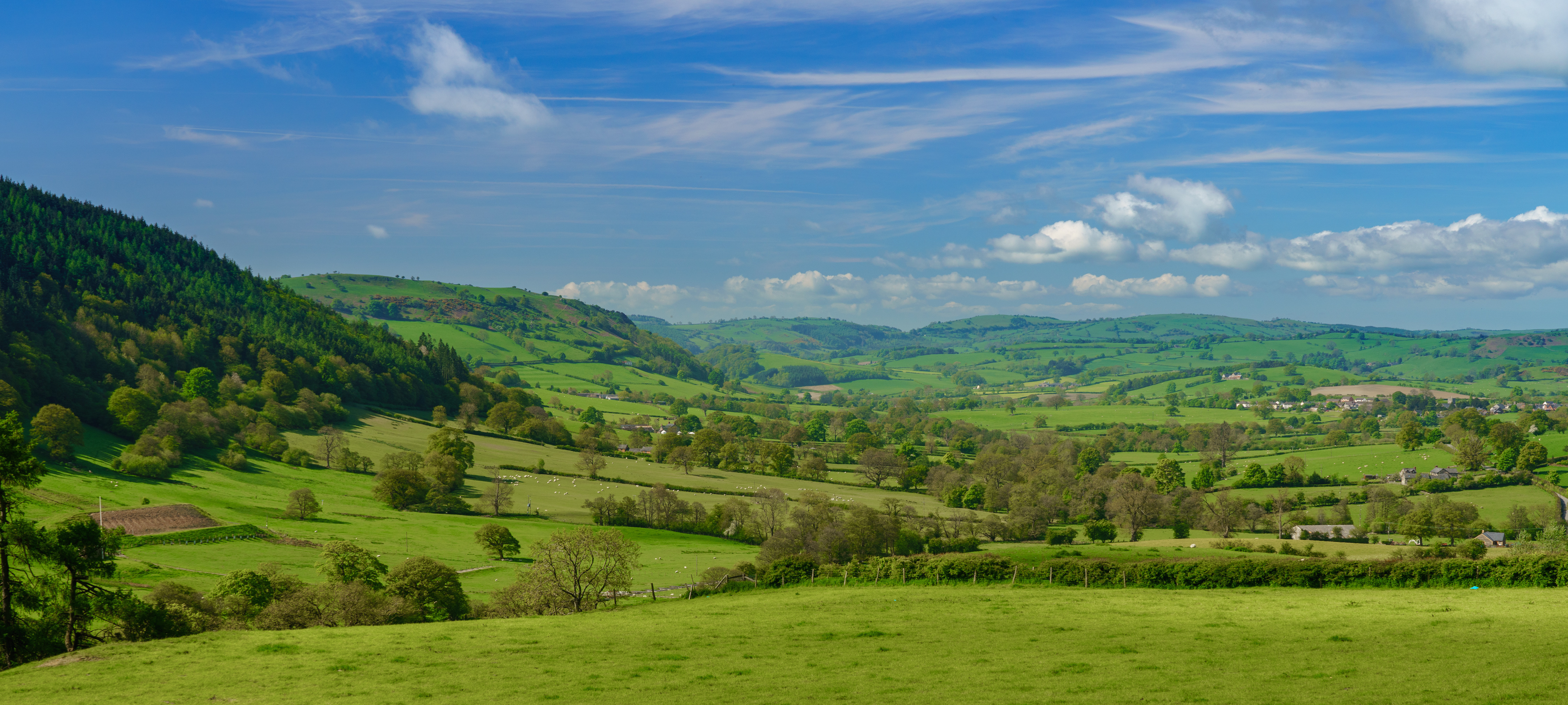 Ayurveda Kur in England