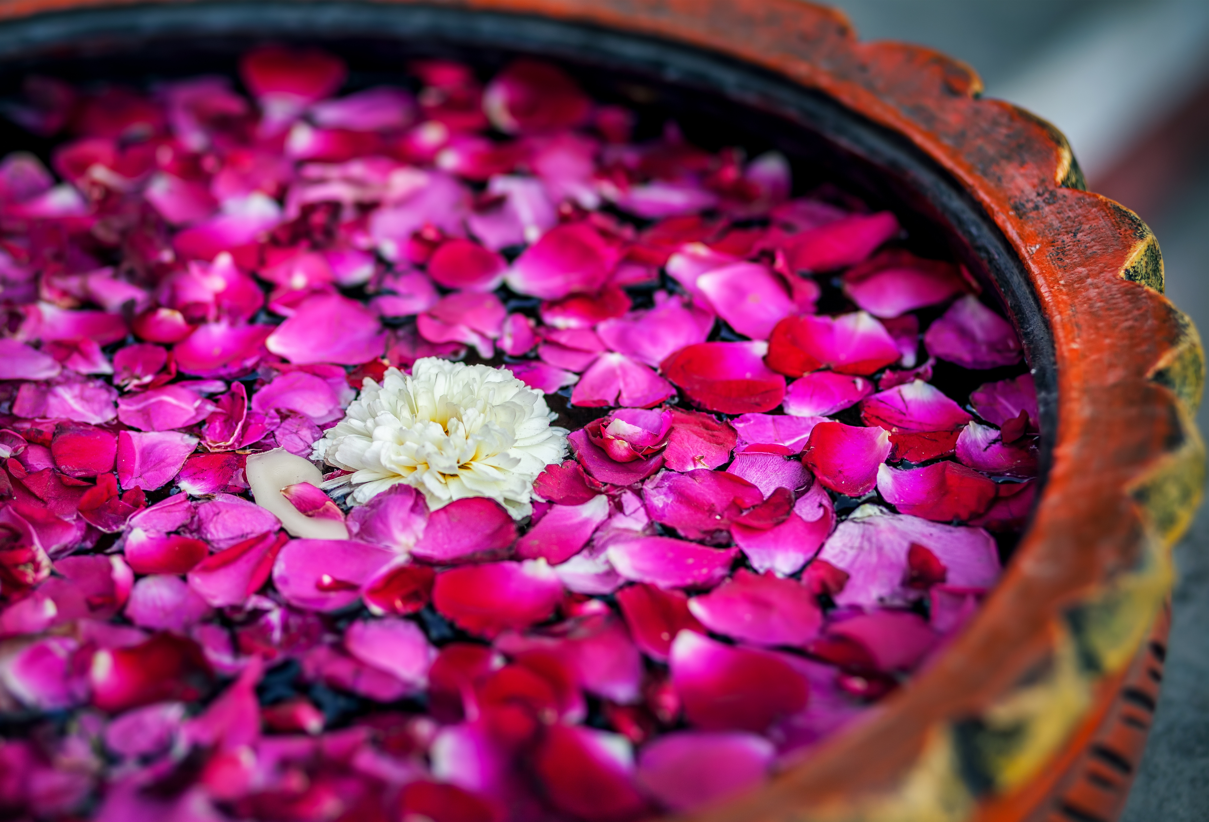 Ayurveda Gesundheitszentrum