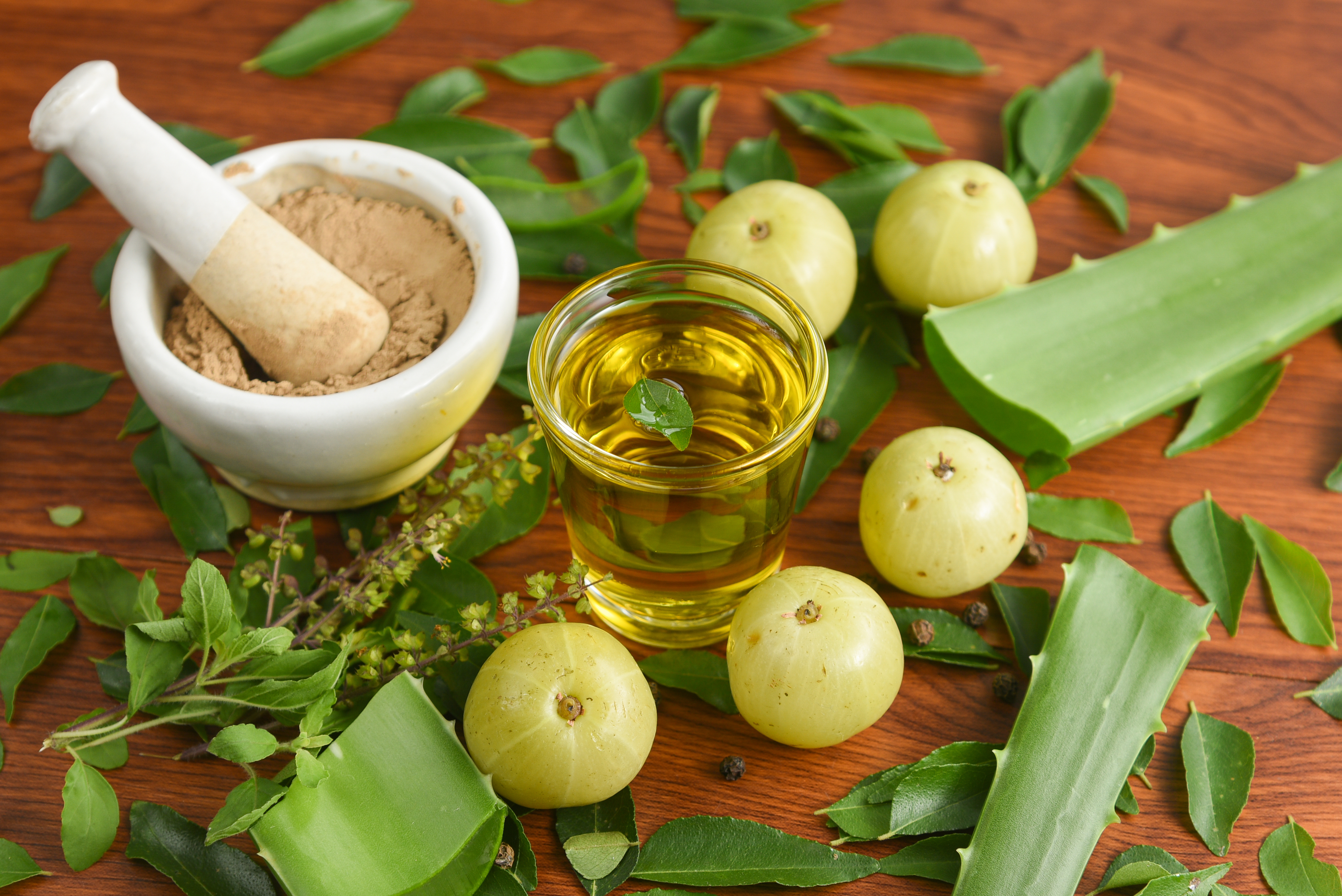 Ayurveda Kur in Österreich