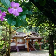 Basis Haus