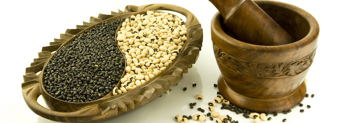 Ayurveda Gewürze