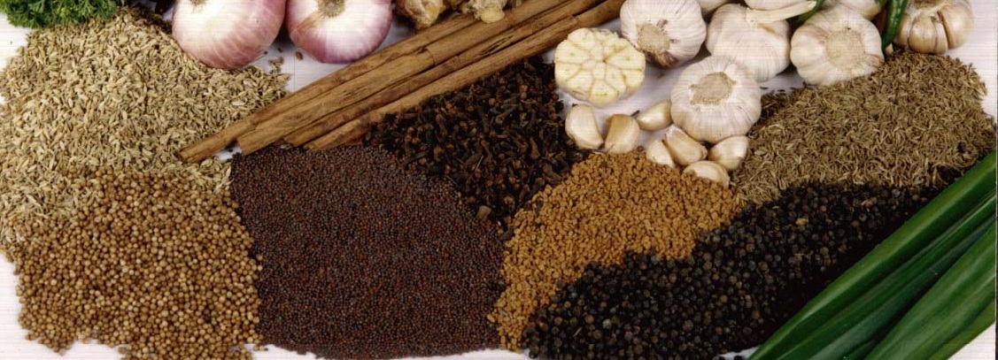 Ayurveda Gewürze