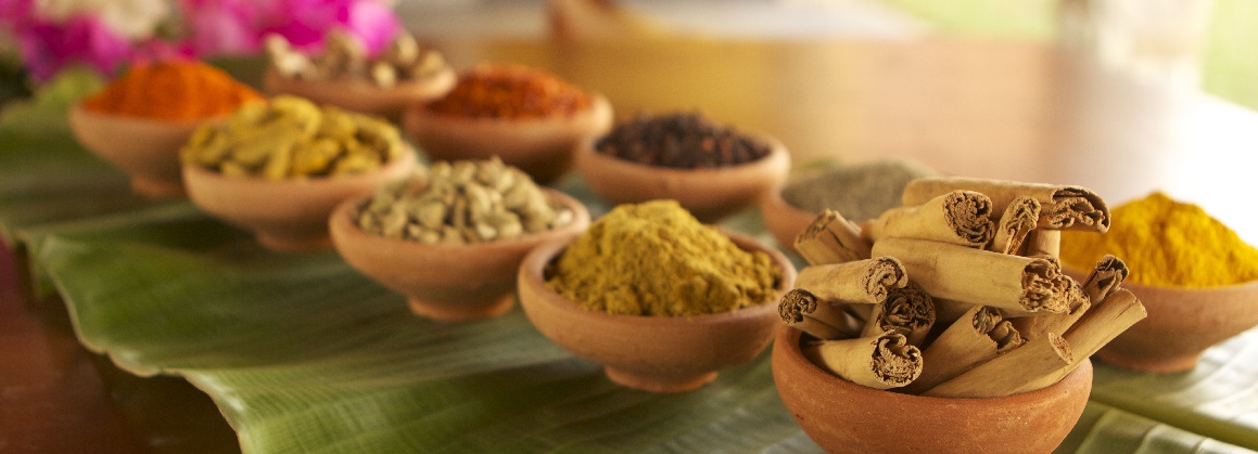 Ayurveda Mahlzeit