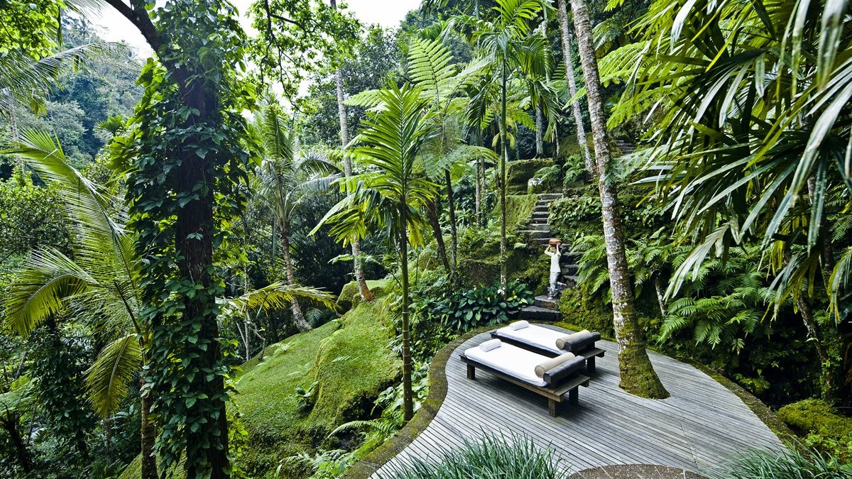 Ayurveda Kuren weltweit